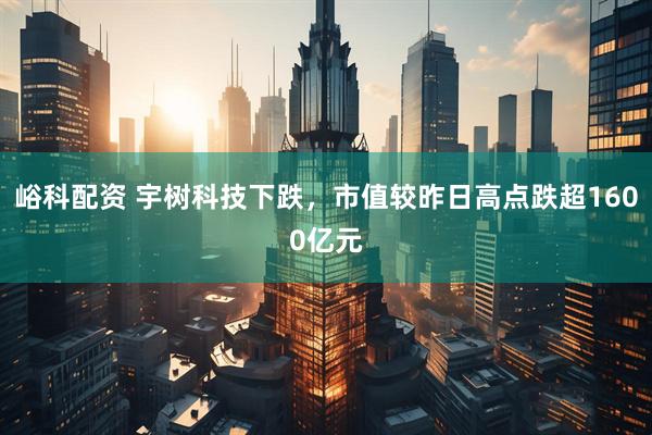 峪科配资 宇树科技下跌，市值较昨日高点跌超1600亿元
